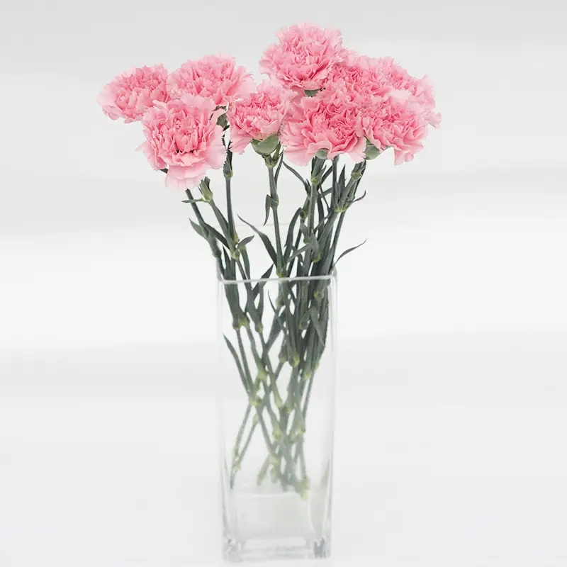 回憶母親的一件小事