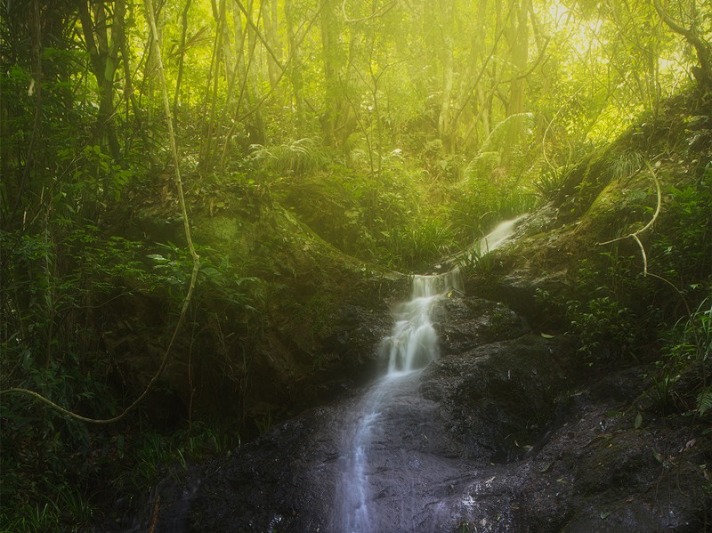 細水長流，持續(xù)學習，忘我工作，共建臻美臨臨——讀《細水長流，忘我工作，重建美麗家園》有感