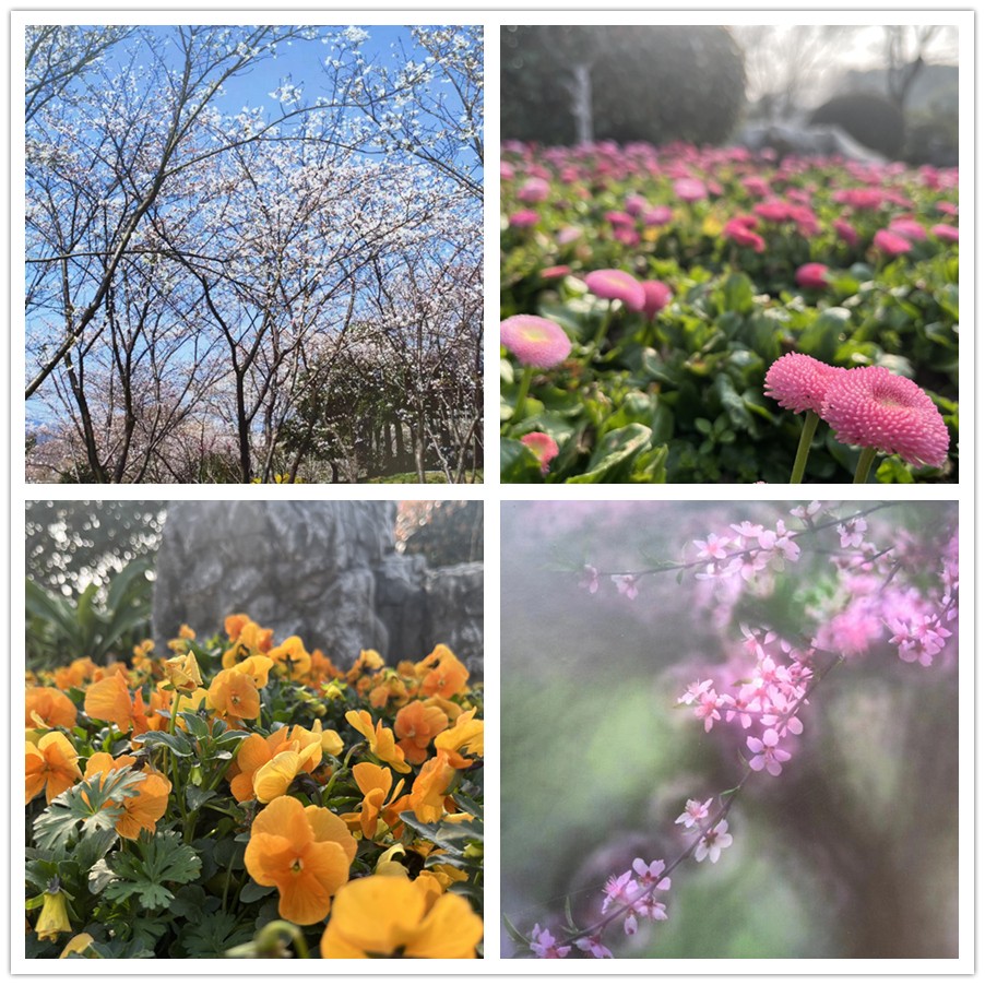 【女神節(jié)專題】一路走來(lái)一路拍——于金瀅攝影集之打卡玄武湖、中山陵