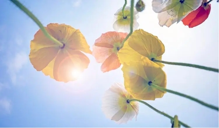 如何發(fā)揮自己的長(zhǎng)處