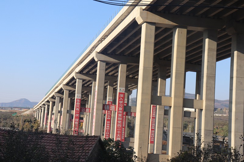 IMG_9242_副本 IMG_9242_副本