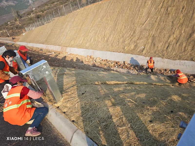 邊坡鋪設(shè)植物纖維毯_副本 邊坡鋪設(shè)植物纖維毯_副本