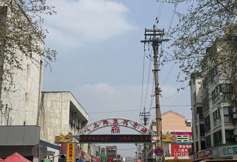 春天，一起去探尋淄博的魅力