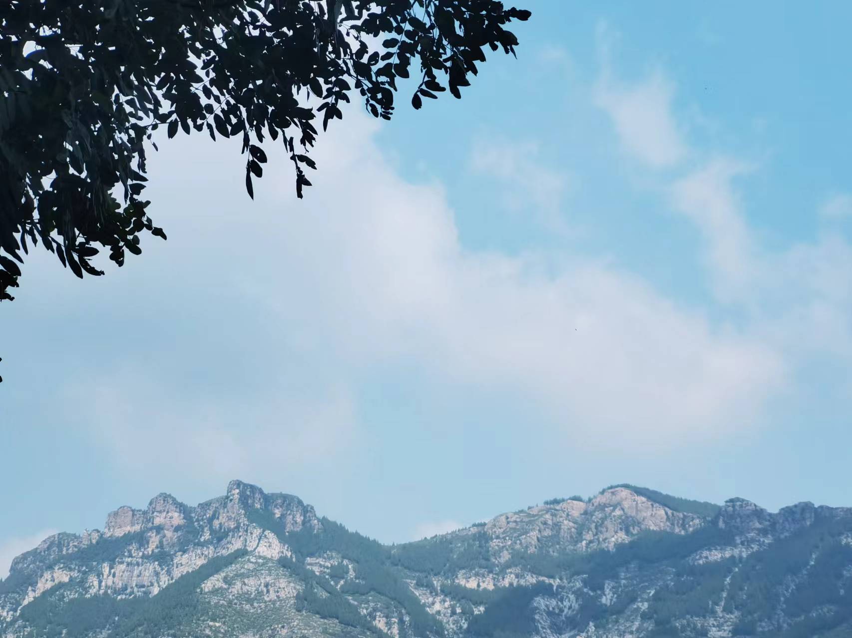 走走停停，不虛此行