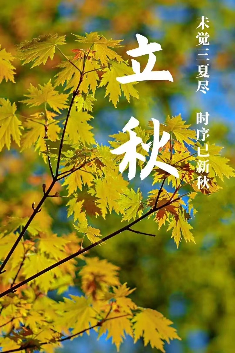 立秋風(fēng)起，心自清涼