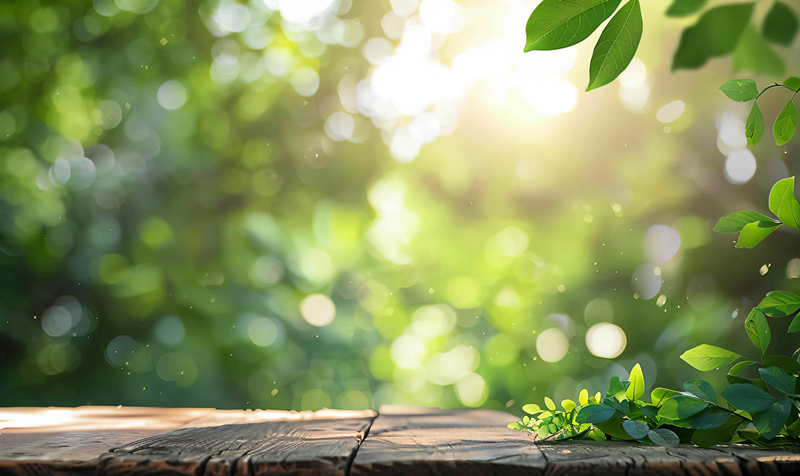 心中有光，皆為福祉