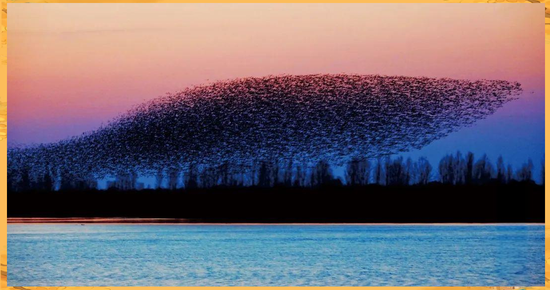 永遠(yuǎn)保留的一片北冥