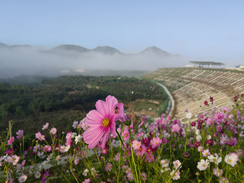 微信圖片_20240401092948_副本