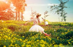 花開半夏，青春飛揚