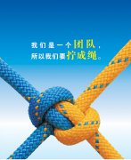 從人力資源部看團(tuán)結(jié)，淺談對團(tuán)隊的理解
