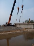 奮進(jìn)的樂(lè)胡路