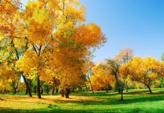 擺正心態(tài)，積極面對