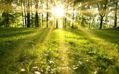 手機(jī)“入扣”