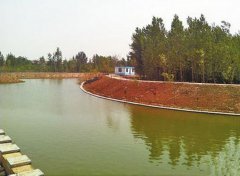 孝婦河畔，我們詩意的生活著