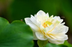 核心價值觀感悟—敬業(yè)