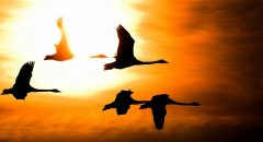 12月，你好！11月，再見！