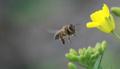 以辛勤勞動為榮，以好逸惡勞為恥