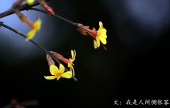 春分將至，我在等你——致徐徐爬行的你