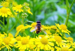 一年之計(jì)在于春