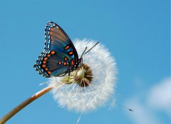 改變，從魯中公路開(kāi)始