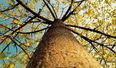 踏踏實實的工作