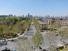 工地寫(xiě)真：炎炎夏日 共青團(tuán)路展大干風(fēng)采