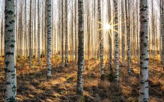 我與魯中公路共成長