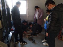 為則通達，學(xué)無止境