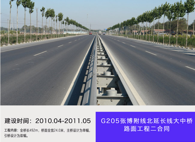 G205張博附線北延長線大中橋路面工程二合同