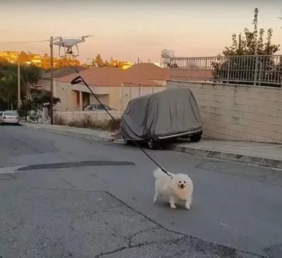 知恥而后勇，知弱而圖強(qiáng)