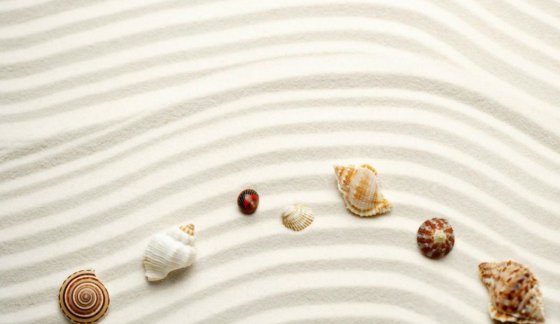 透過(guò)疫情談自律