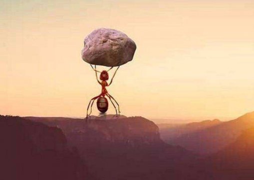 能扛事，不惹事，不怕事！