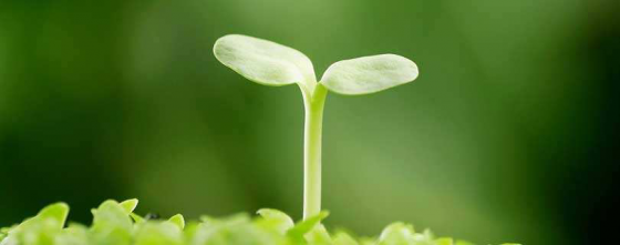 相聚魯中公路  我們彼此成長(zhǎng)