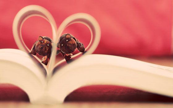 愿有一人，懂你背后所有的苦