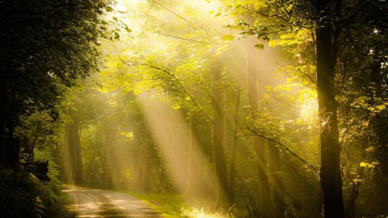 陽光溫暖的日子里請善待自己