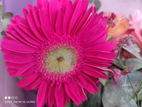 三八節(jié)，我們的女神節(jié)