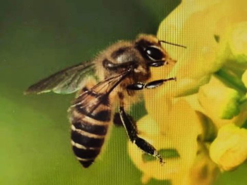 給誰打工？——從“抓作風(fēng) 創(chuàng)效益”想到的