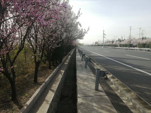 及時當勉勵，歲月不待人