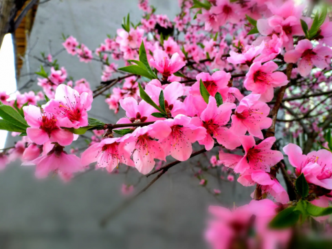 抗擊疫情我們繼續(xù)加油