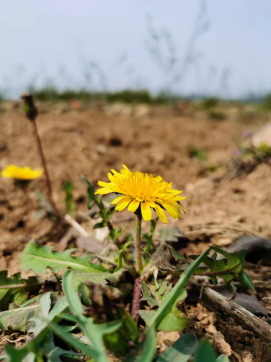 滿懷希望，走向未來